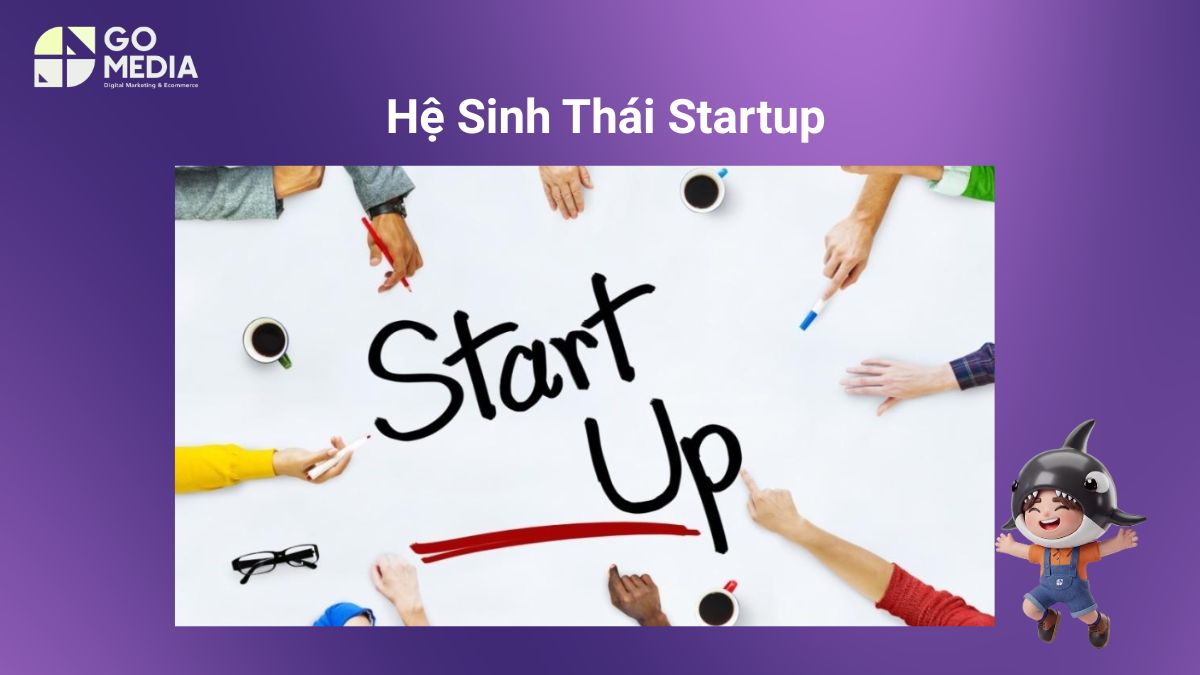 Minh họa hệ sinh thái startup Đà Nẵng với các yếu tố về vốn đầu tư, quy mô thị trường, trường đại học, cơ quan hỗ trợ và cộng đồng doanh nghiệp.