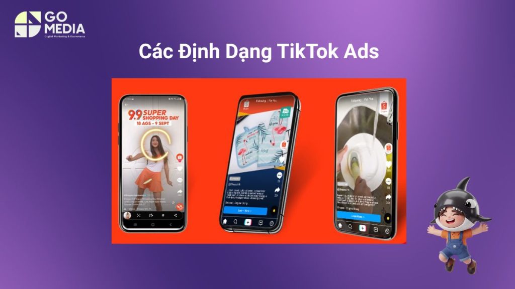 Các định dạng quảng cáo phổ biến trên TikTok Ads Việt Nam gồm In-Feed Ads, TopView, Branded Hashtag Challenge và Branded Effects.