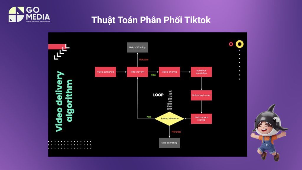 Video TikTok viral được phân phối qua các vòng thử nghiệm dựa trên lượt xem, thời gian xem và mức độ tương tác của người dùng.